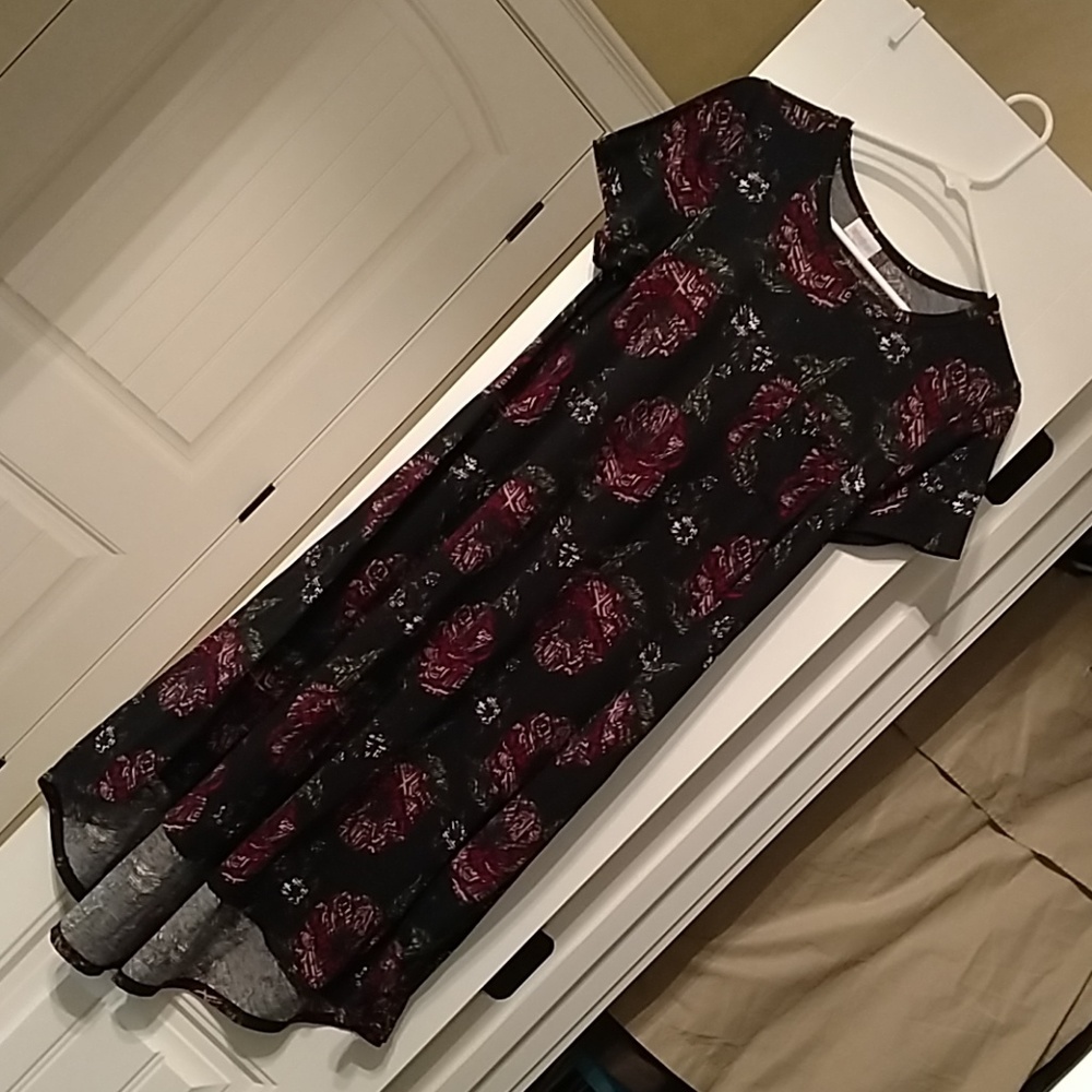 LulaRoe XS Carly Dress